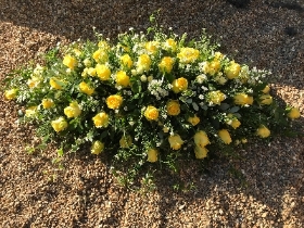 Spray of yellow roses