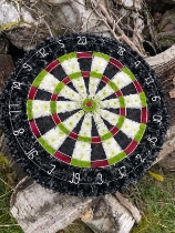 Dart Board